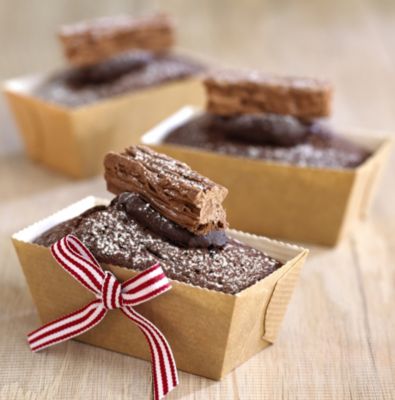 Ann fudge mini case essay 05 picture