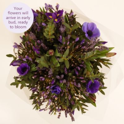 Lavender Bouquet with free express delivery in flowers at Lakeland