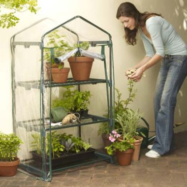 Mini Greenhouse