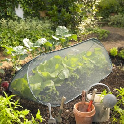 Triangular Net Cloche