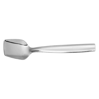 Authentic India by Anjula Devi Ginger Scraper