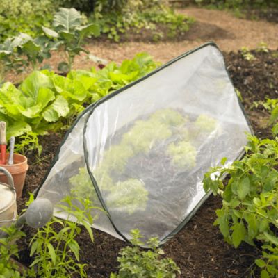 GROW SHELTERS