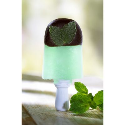 Mint Choc ice lollies