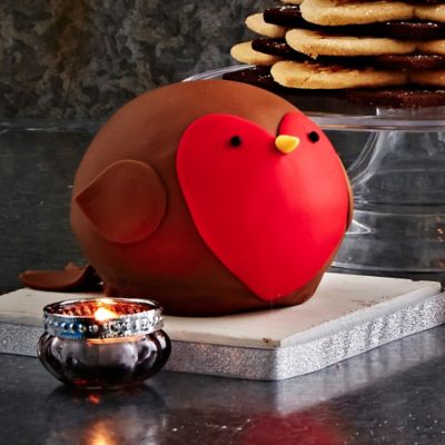 Christmas Robin Cake in recipes at Lakeland