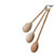 Lakeland Wooden Spoons x 3