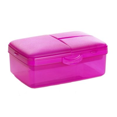 Summer Picnic Slimline Quaddie Lunchbox image()