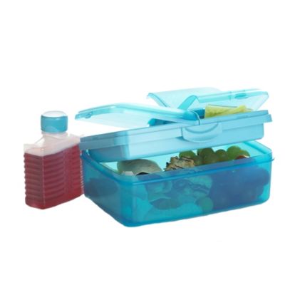 Summer Picnic Slimline Quaddie Lunchbox image()
