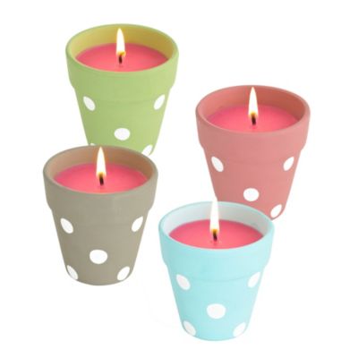 Mini Citronella Pots image()