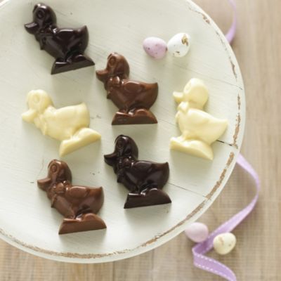 Duckling Chocolate Mould image(1)