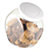 OXO Good Grips POP Airtight Cookie Jar 2.8L