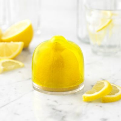 Lemon Fridge Food Saver image(2)