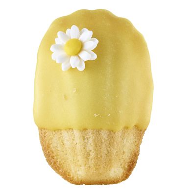 4 Mini Fondant Icing Cutters - Daisy Flower Shaped - (Image 4)