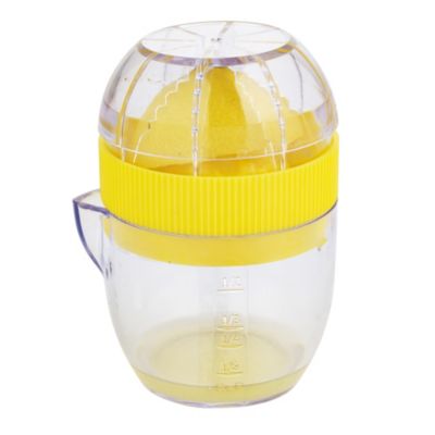 Mini citrus clearance juicer