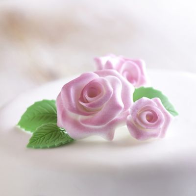 Renshaw Flower and Modelling Icing Paste - 250g White image(2)