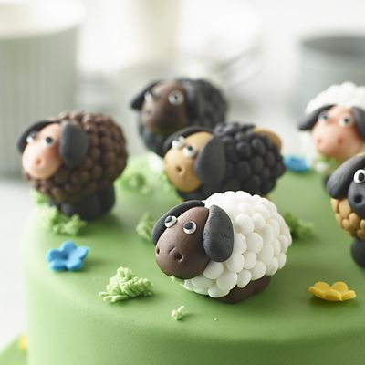 Renshaw Ready To Roll Coloured Icing - 5 x 100g Natural Tones image(3)