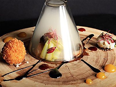 The Smoking Gun - Handheld Food Smoker image(5)