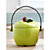 Apple Crock Food Compost Bin - Green 3.3L