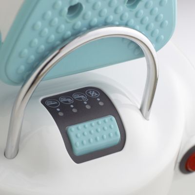 Lakeland Steam Generator Iron image(2)