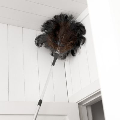 Telescopic Ostrich Feather Duster | Lakeland