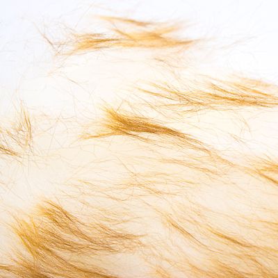 Telescopic Lambswool Duster image(3)