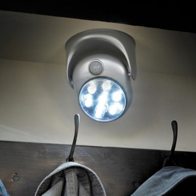 Lakeland Anywhere Sensor Light image()