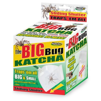 Big Bug Katcha Extended image(3)