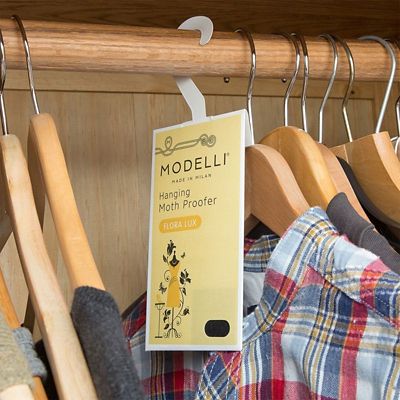 2 Modelli Hanging Moth Proofer Flora Lux - (Image 4)