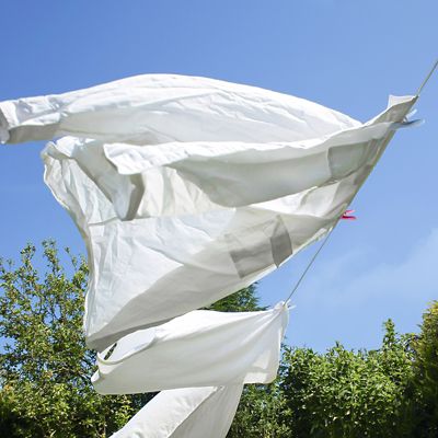 20 Soft Grip Clothes Pegs Vibrant image(4)