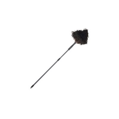 Long Reach Extendable Ostrich Feather Duster Lakeland