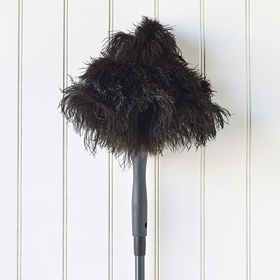 black ostrich feather duster