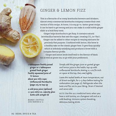 Kombucha – Healthy Recipes For Naturally Fermented Tea Drinks By Louise Avery - (Image 3)