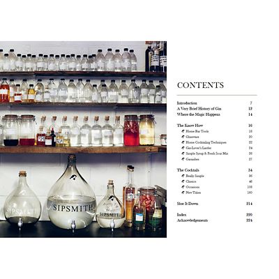 SIP: 100 Gin Cocktails with only 3 Ingredients image(2)