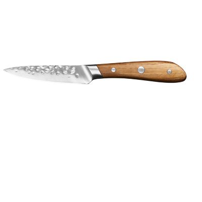 Premium Hammered Steel Paring Knife 10cm Blade Lakeland