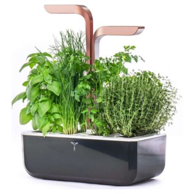 Véritable Smart Indoor Herb Garden Black Lakeland