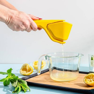 Dreamfarm Fluicer – The Fold Flat Juicer image(6)