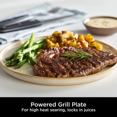 Ninja Foodi Max Pro Grill, Flat Plate and Air Fryer AG651UK image(9)