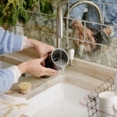 Dualit Handheld Milk Frother, black image(10)