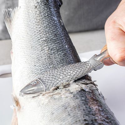 KitchenCraft Fish Scaler image(2)