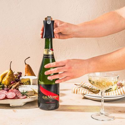 Dreamfarm Champop image(7)