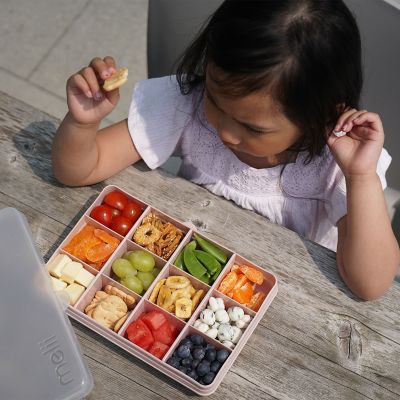 Melii Snackle Box Regular with 12 Compartments - Pink image(2)