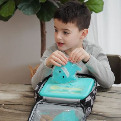 Gel Ice Pack - 2 Pack- Dino & Shark image(2)