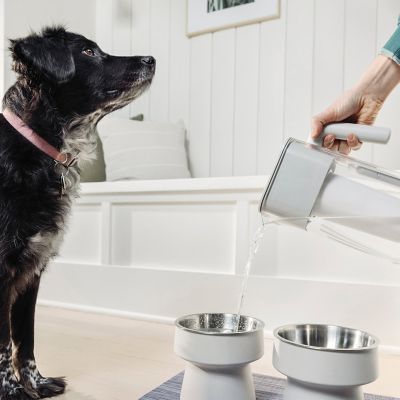 Culligan ZeroWater 12 Cup Jug image(2)