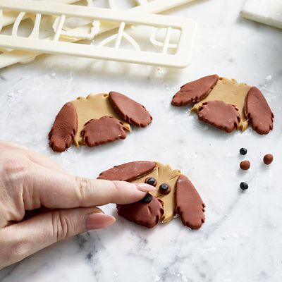 Design-A-Dog Icing Face Cutters Set image(7)