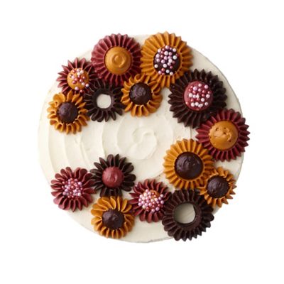 2 Ring Shaped Icing Nozzles image(3)