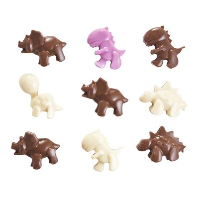 12 Dinosaur Chocolate Shapes Silicone Mould image(4)