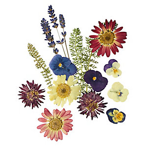 Edible Pressed Flowers and Leaves