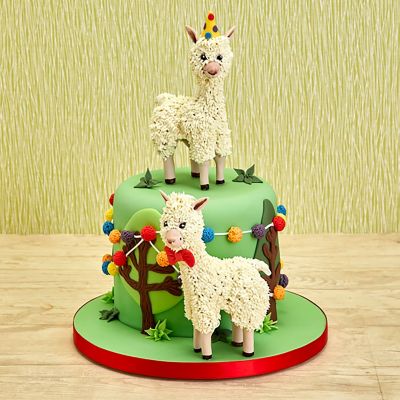 Squires Kitchen Food Colour Paste - Set of 20 image(9)