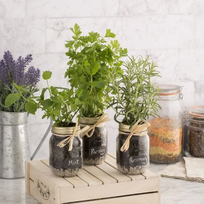 Kilner Regular Mouth Jars 0.5L – Set of 4 image(10)