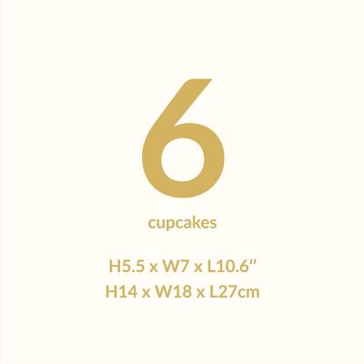 PME Crystal Cake Box for Cupcakes image(4)