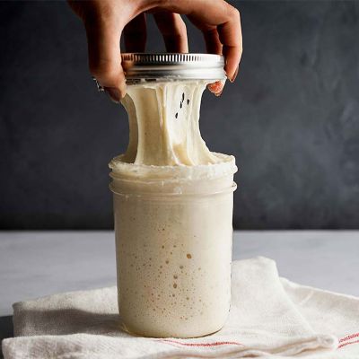 Brod & Taylor Sourdough Home Proofing Station image(3)